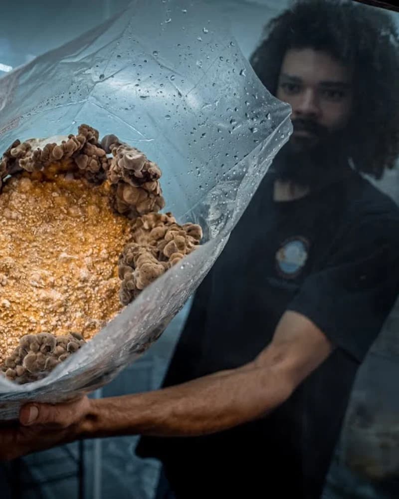 The Cultivator's Library