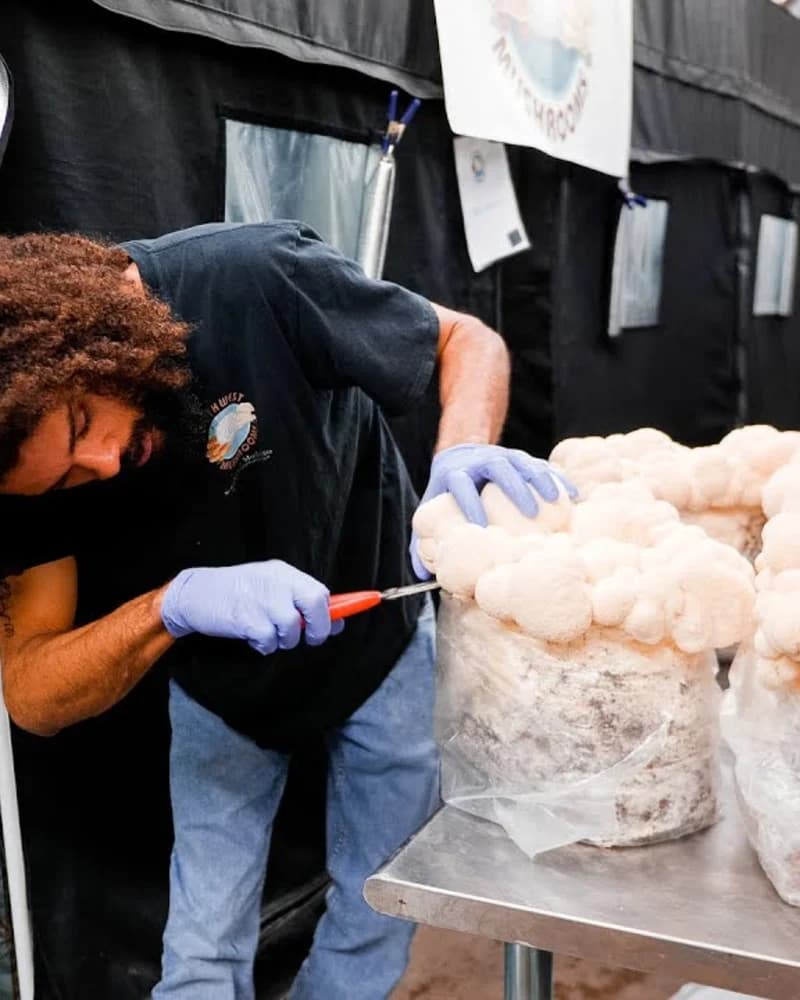 Masterclass Trio: Oyster + Shiitake + Lion's Mane