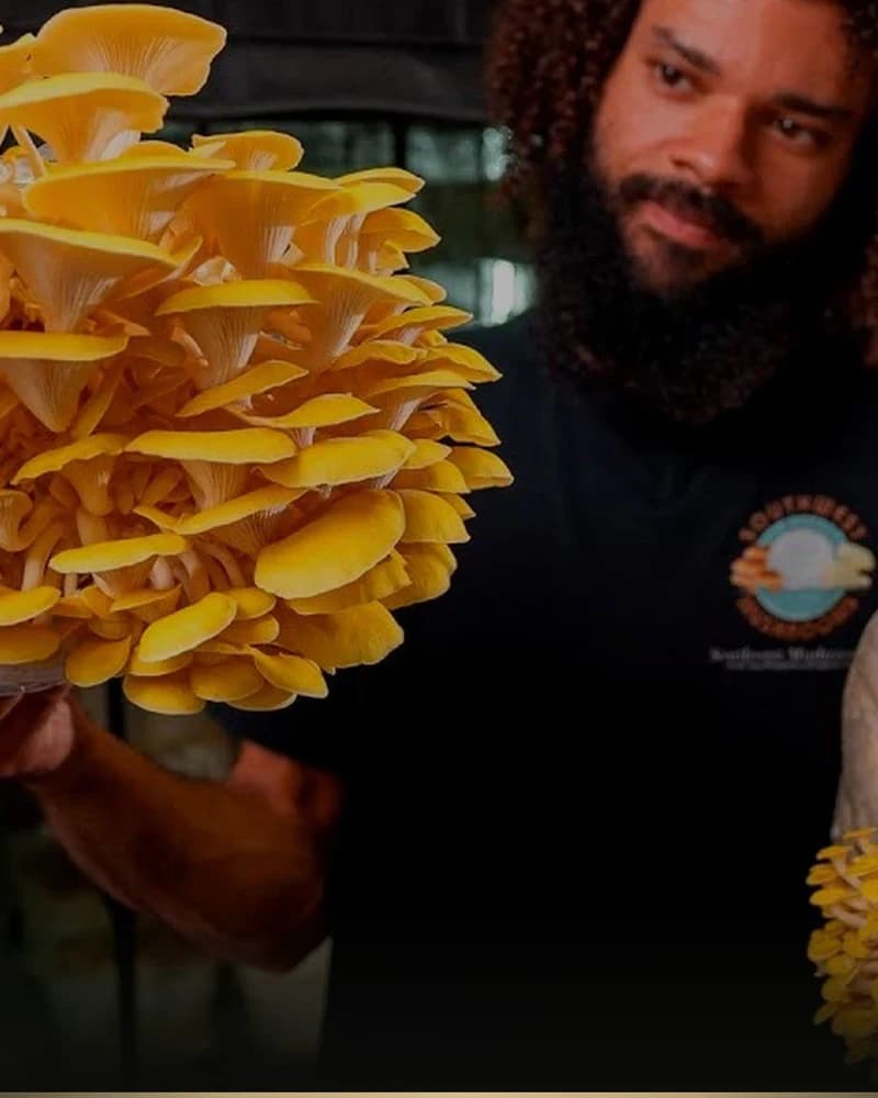 Volume 1 Audiobook: From Laboratory to First Harvest