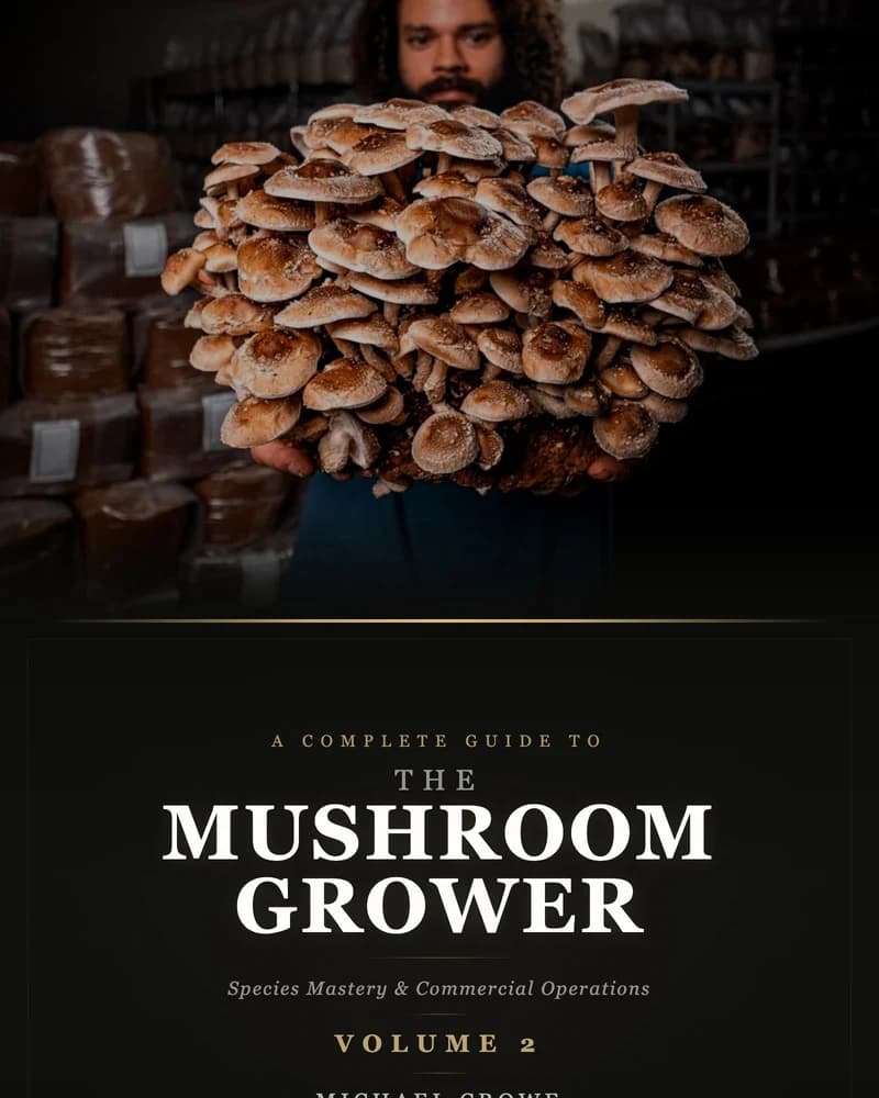 Volume 2 Audiobook: Scaling to Commercial Production